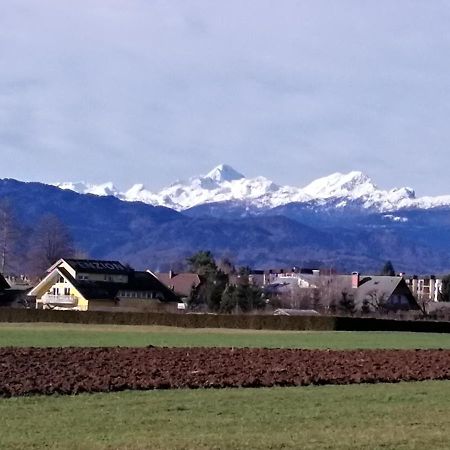 Appartement Edelweiss à Radovljica Extérieur photo