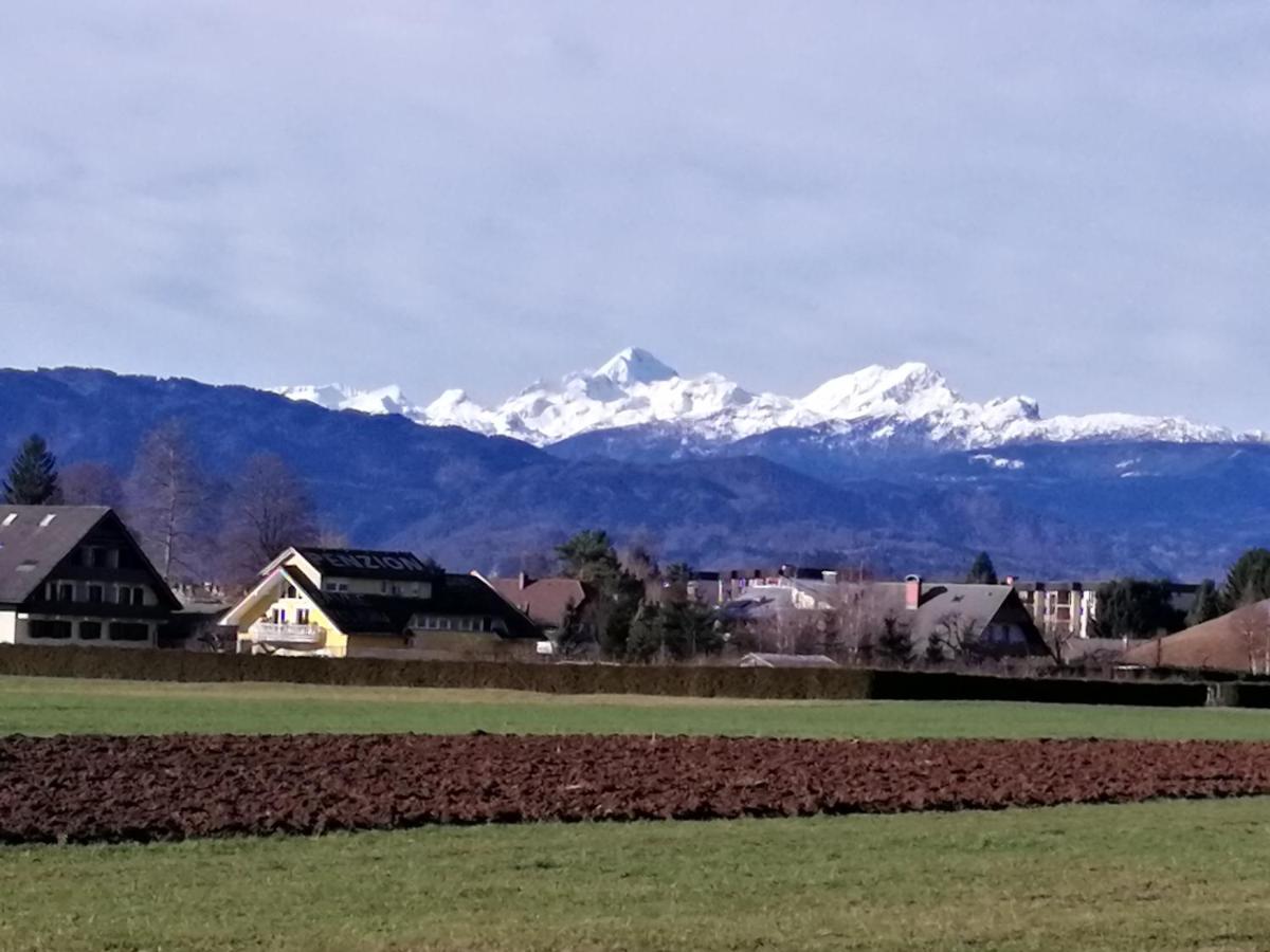 Appartement Edelweiss à Radovljica Extérieur photo